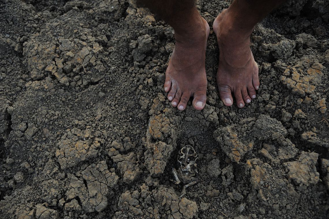 Seca deve aumentar no Nordeste nos próximos meses, alerta INMET